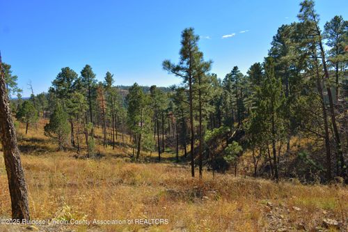 124 Crown Ridge Rd, Alto, NM, 88312-8003 | Card Image
