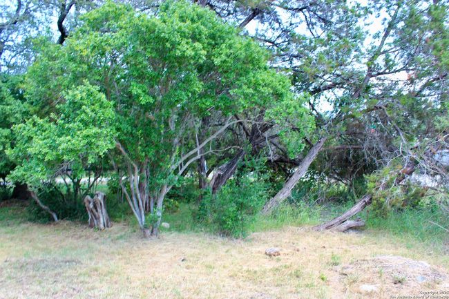 0 Tbd, Home with 0 bedrooms, 0 bathrooms and null parking in Spring Branch TX | Image 9