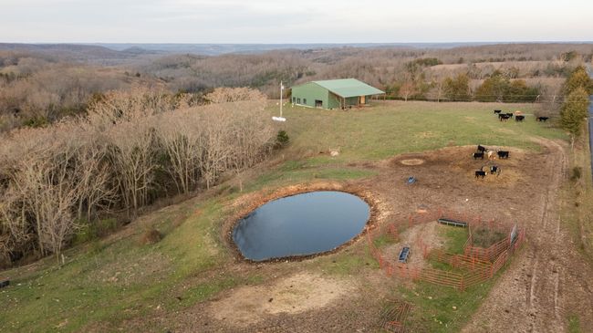 175 drone-19 | Image 5