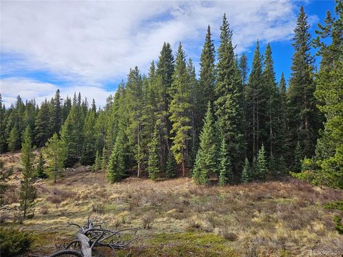 7765 Rollie'S Trail Rd, Alma, CO, 80420 | Card Image
