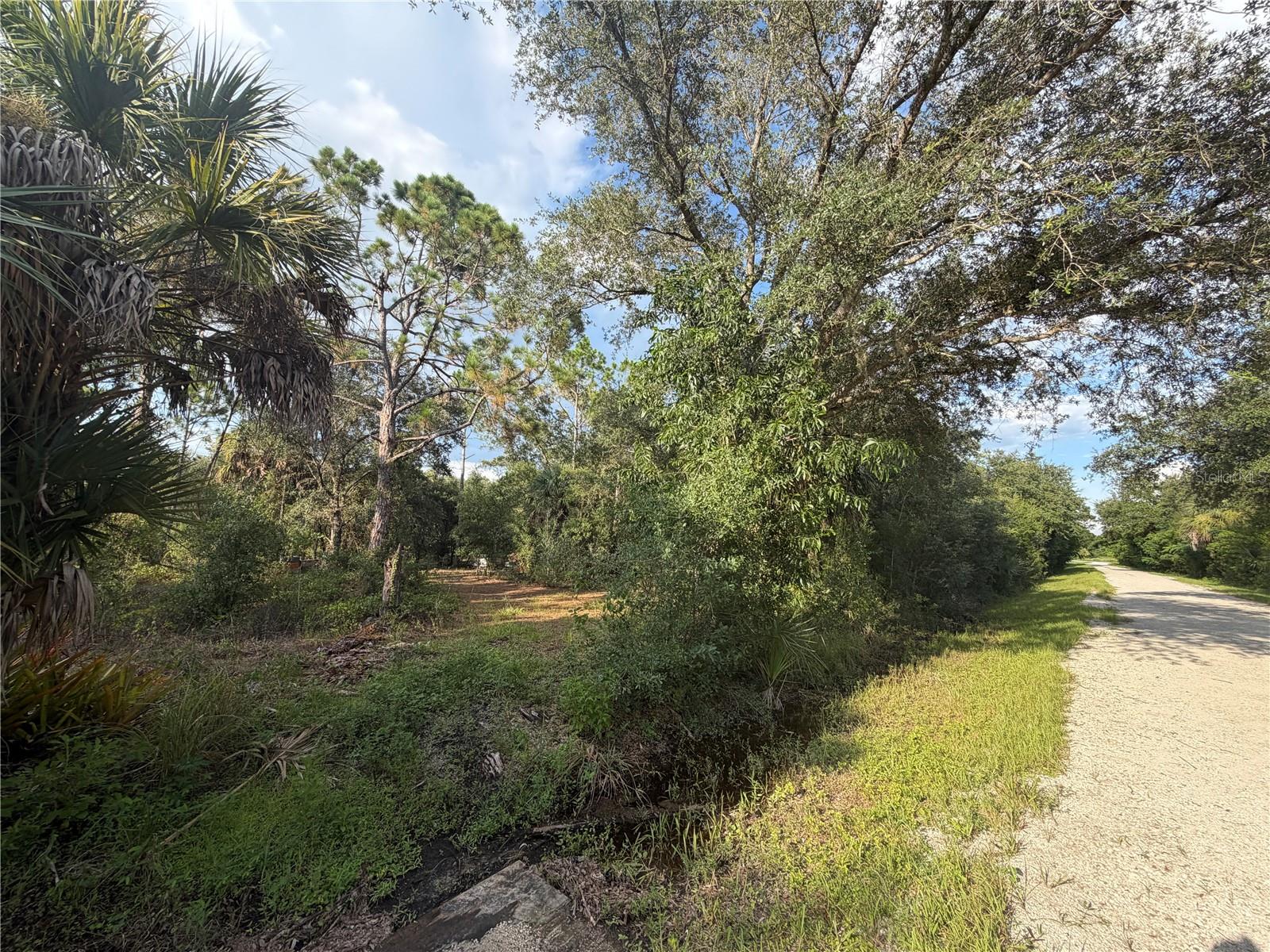 Land in PUNTA GORDA 2