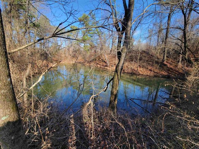 1250 Ashby Rd, Home with 0 bedrooms, 0 bathrooms and null parking in Centertown KY | Image 14