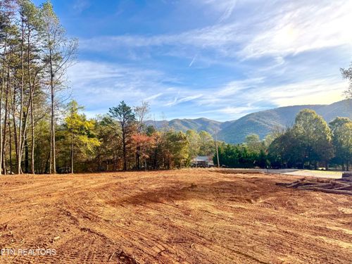 Lot 3 Peachie Way, Cosby, TN, 37722 | Card Image