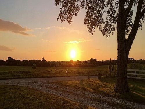 23478 Switzer Rd, Bucyrus, KS, 66013-9256 | Card Image