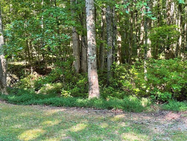 76 Tally Cove Rd, Home with 0 bedrooms, 0 bathrooms and null parking in Jasper GA | Image 18