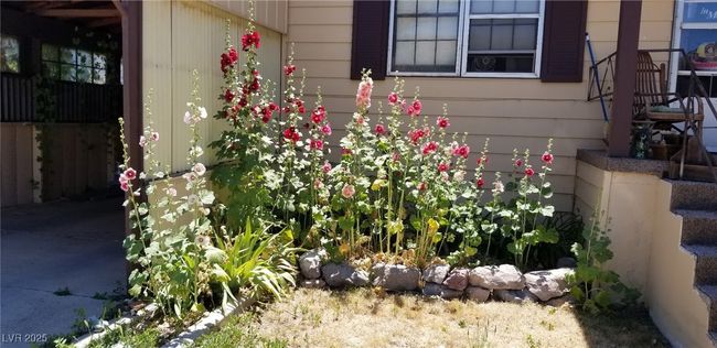 561 Main St, House other with 4 bedrooms, 2 bathrooms and null parking in Caliente NV | Image 4