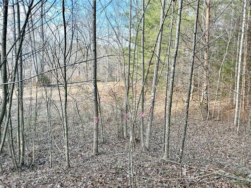 Lot 48 Stardust Ln, Seneca, SC, 29672 | Card Image