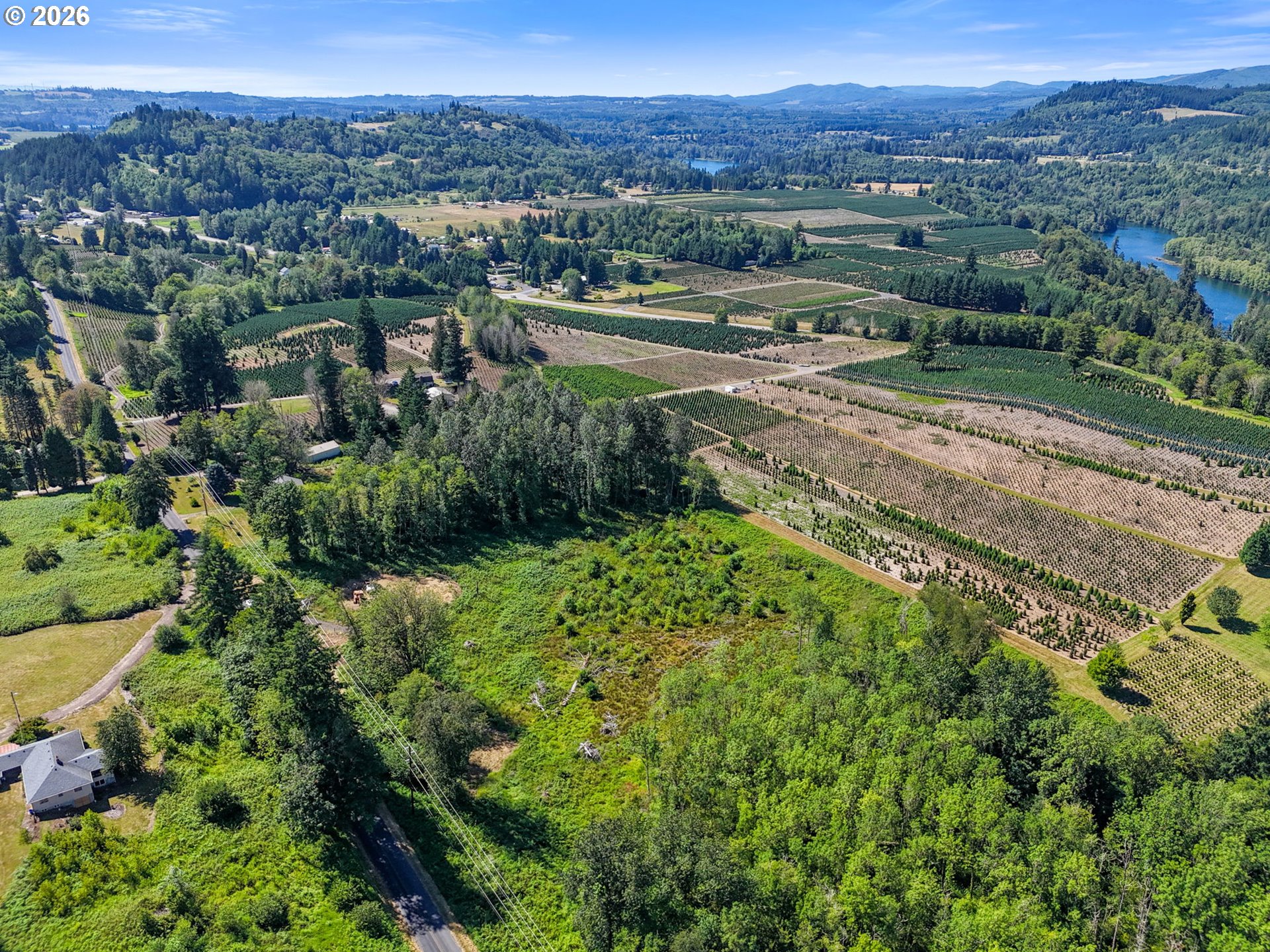 Land in Mossyrock 2