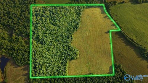 40.84 County Road 668, Henagar, AL, 35978 | Card Image