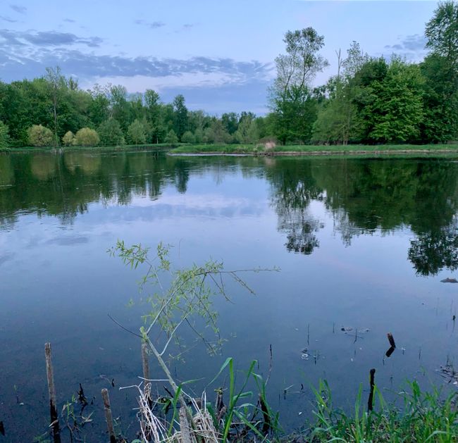 KALAMAZOO RIVER | Image 47