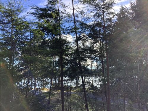 1 1st St, Sointula, BC, V0N | Card Image