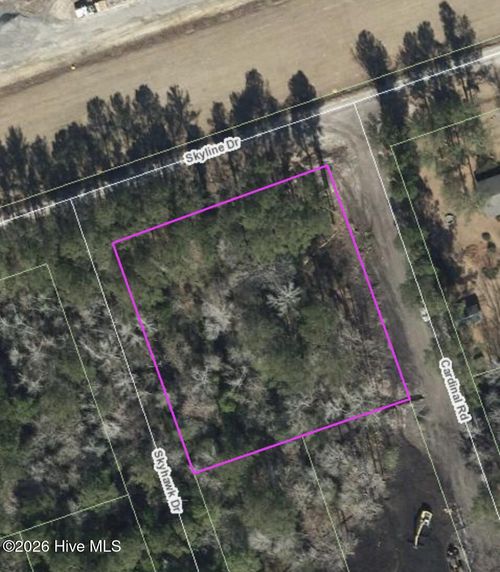 Tbd Skyline Dr, Maple Hill, NC, 28454 | Card Image