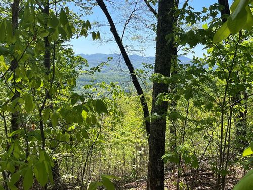 Lot 11J Ash Branch Vw, Hayesville, NC, 28904 | Card Image