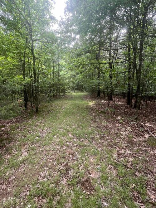 83 Acres Greene 402 Rd, Lafe, AR, 72443 | Card Image