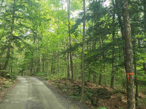 0 Stratton Hill Road, Marlboro, VT, 05344 | Card Image