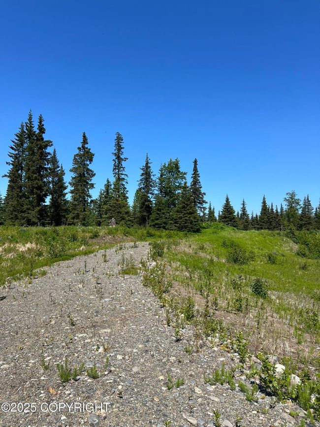 Driveway | Image 7