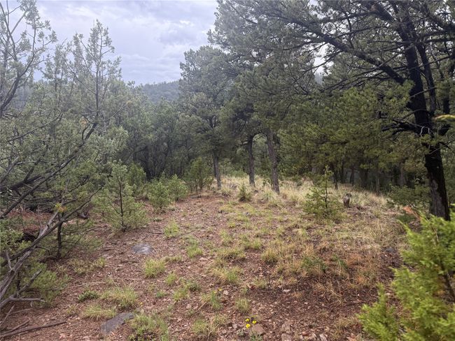 1 N Main St, Home with 0 bedrooms, 0 bathrooms and null parking in Pecos NM | Image 20