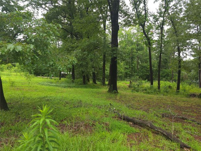 208 Mountain View Dr, Home with 0 bedrooms, 0 bathrooms and null parking in Daingerfield TX | Image 10