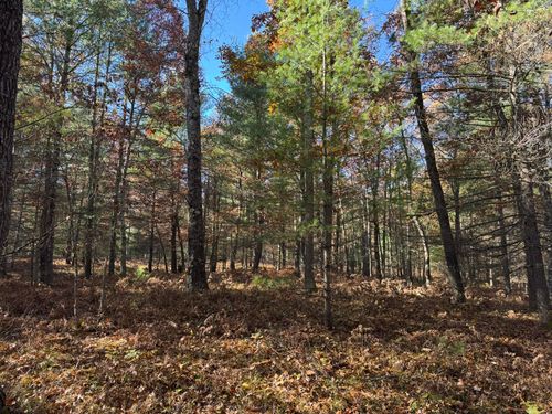 Parcel 2 County Line Road, Free Soil, MI, 49411 | Card Image