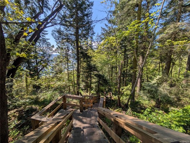 Stairs down to Pirates Park | Image 18