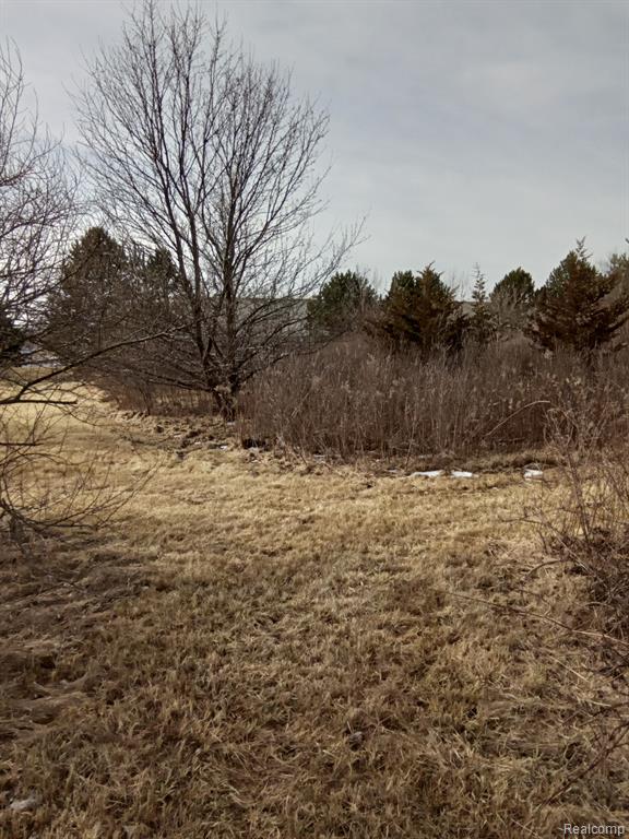 Morrish Rd, Swartz Creek, MI 48473