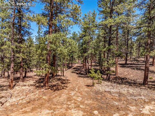 185 Sioux Trl, Westcliffe, CO, 81252-9153 | Card Image