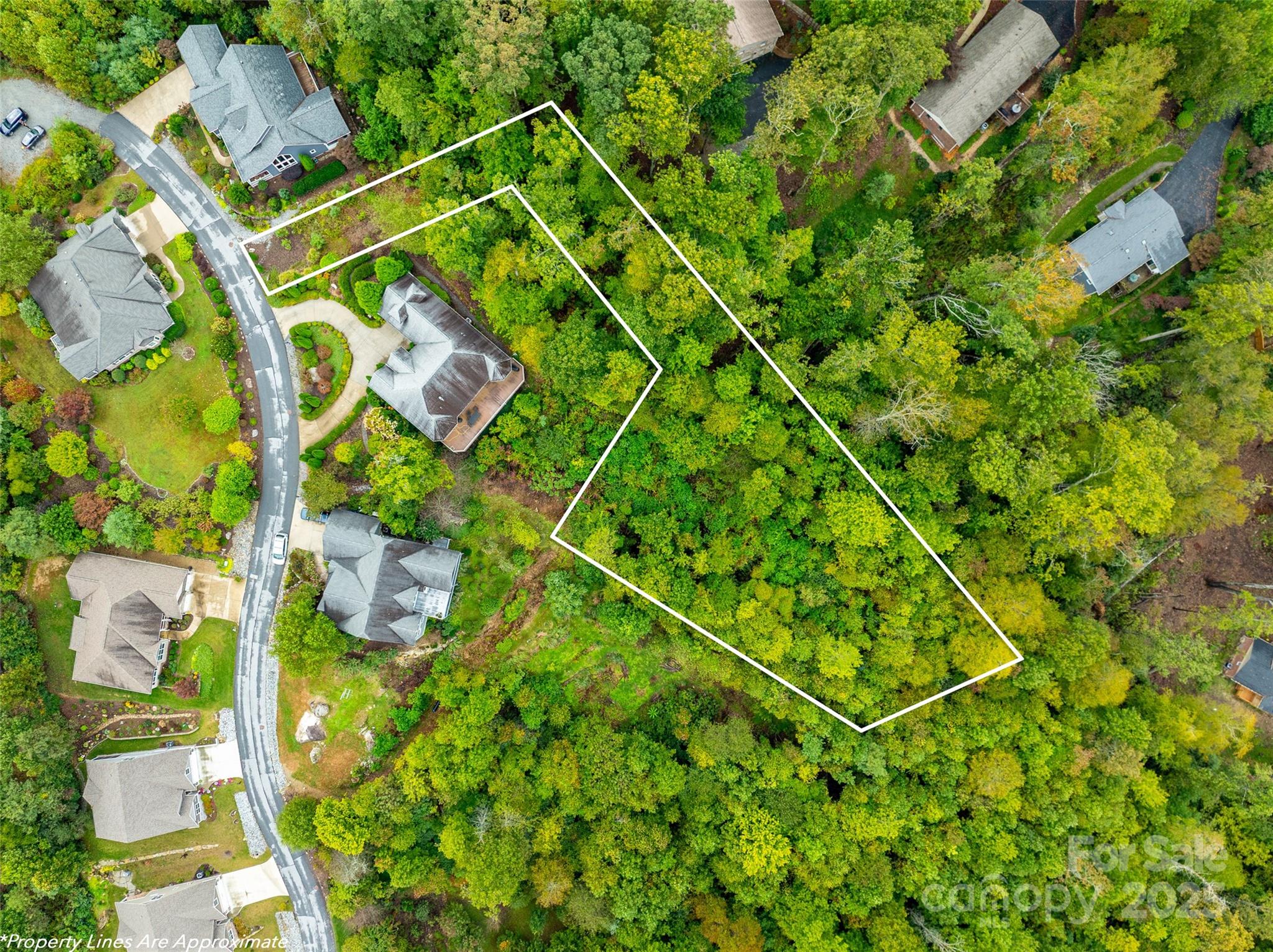 Land in Hendersonville 2