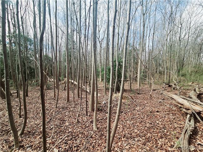 15601 Harrowgate Rd, Home with 0 bedrooms, 0 bathrooms and null parking in Chester VA | Image 8