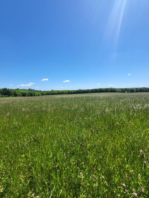 XXX Nelson Rd, Delano, MN, 55328 | Card Image