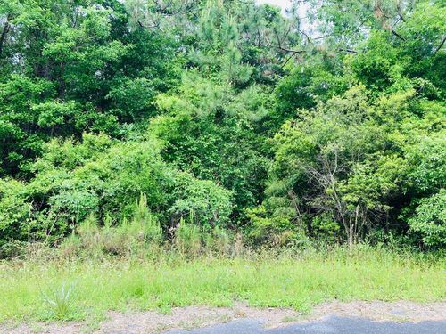 53 Bluewater Bay Blvd, Carrabelle, FL, 32322 | Card Image