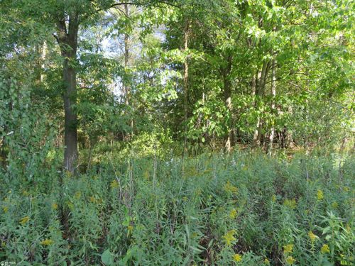 0000 Bentley Rd, Brown City, MI, 48416 | Card Image