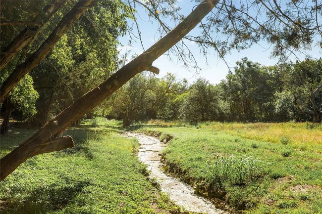 Creek! | Image 39