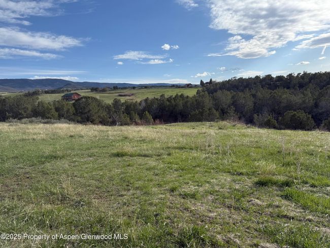 14495 N Scott Loop, Home with 0 bedrooms, 0 bathrooms and null parking in Collbran CO | Image 9