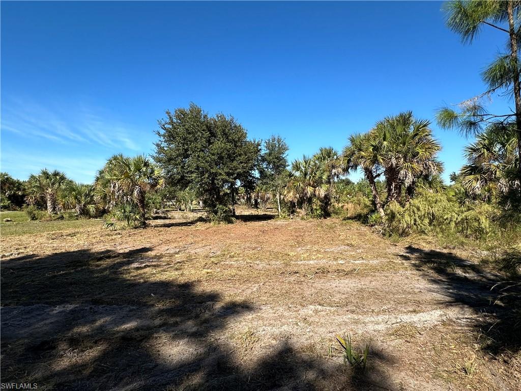 Land in NAPLES 3