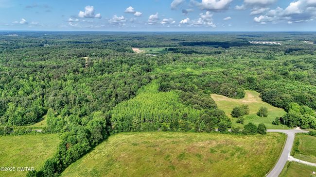 0 Ables Rd, Home with 0 bedrooms, 0 bathrooms and null parking in Cottage Grove TN | Image 12