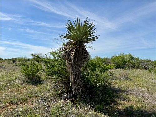 0 County Road 147, George West, TX, 78022 | Card Image