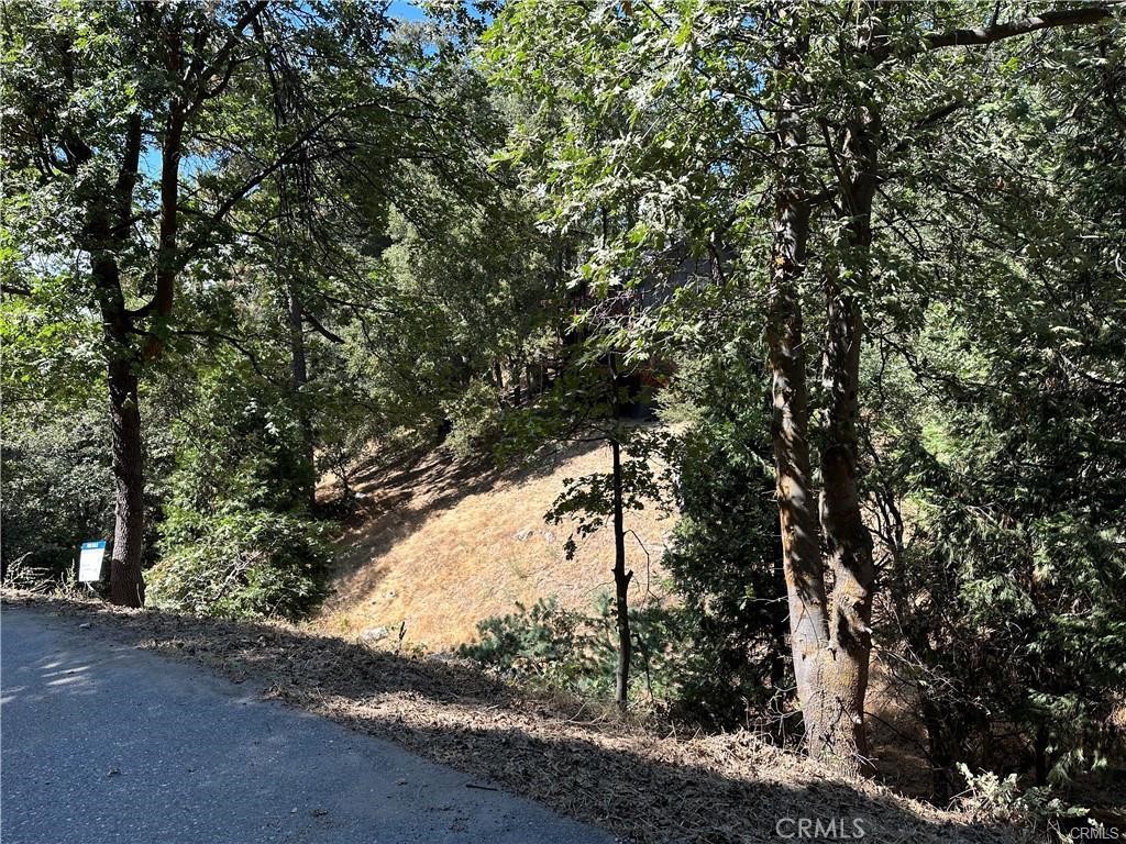 Land in Crestline 2