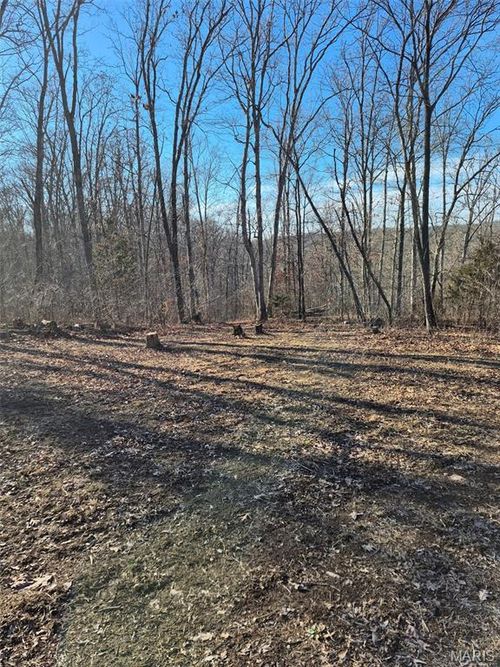 0 Catawba Dr, De Soto, MO, 63020 | Card Image
