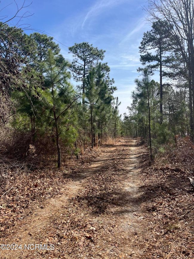 00 Us Highway 15 501, Home with 0 bedrooms, 0 bathrooms and null parking in Pinehurst NC | Image 7