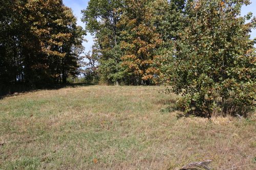 block-1-lot-17-000 Wild Turkey Road, West Plains, MO, 65775 | Card Image