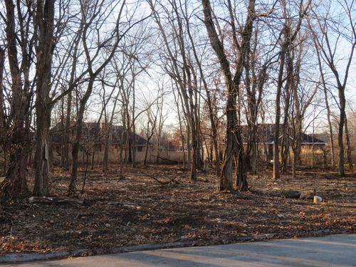 Lot 58 Timber Edge Dr, MORRIS, IL, 60450 | Card Image