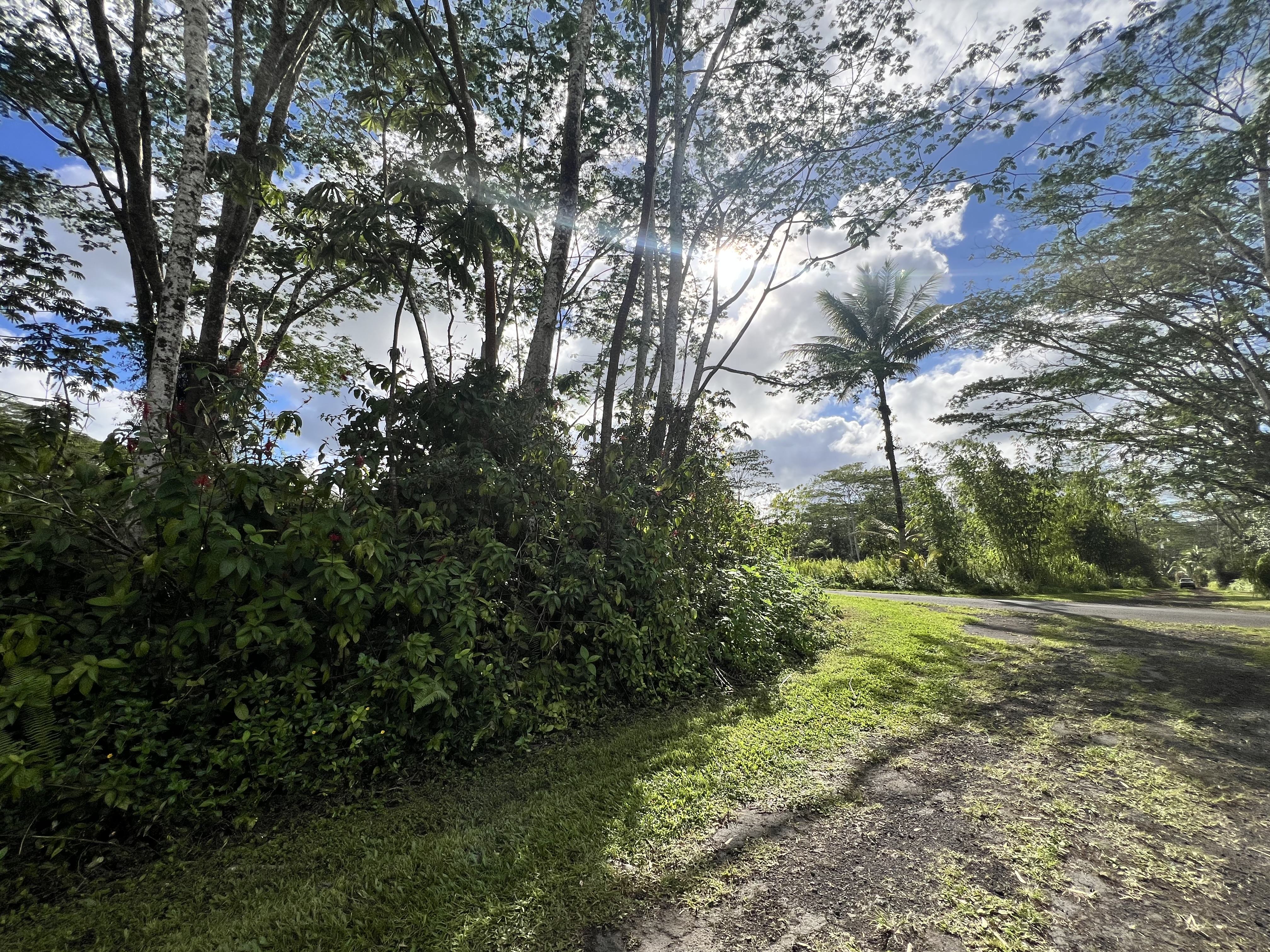 Land in Pahoa 4