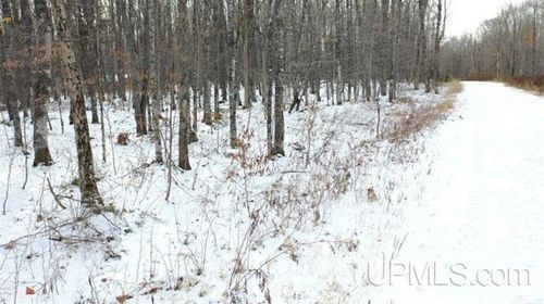 Lot 9 Elizabeth Rd, Iron River, MI, 49935 | Card Image