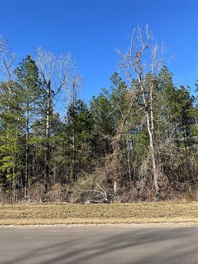 Beautiful I acre lot. Great mix of hardwoods, magnolias, and pines. | Image 1