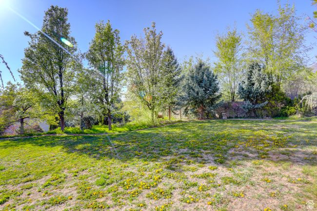 View of yard | Image 58