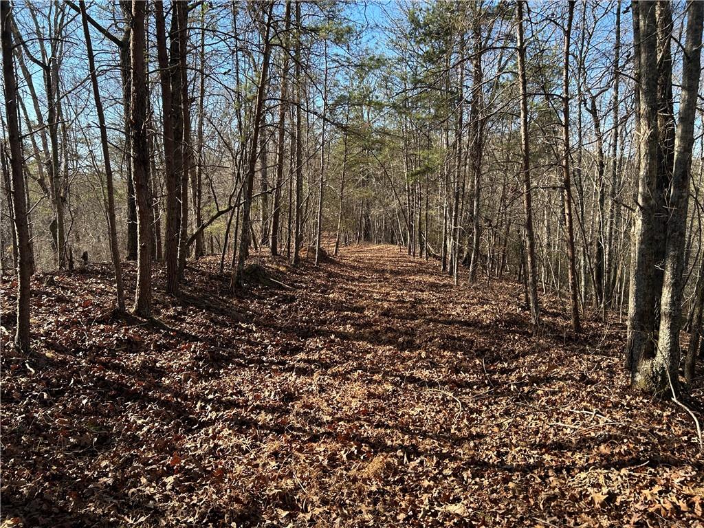 Land in Demorest 2