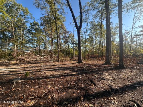 11.53 Ac Government Pond Rd, Jamestown, TN, 38556 | Card Image