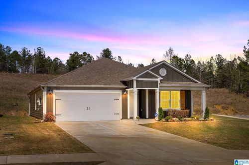 710 Sterling Pl, ODENVILLE, AL, 35120-3713 | Card Image