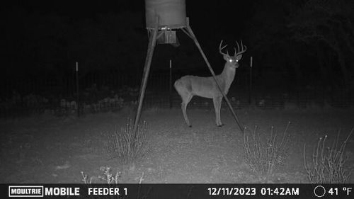 129 Big Buck Run Road, Menard, TX, 76859 | Card Image