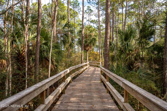 251 Dosel Ln, House other with 4 bedrooms, 3 bathrooms and null parking in Saint Augustine FL | Image 41